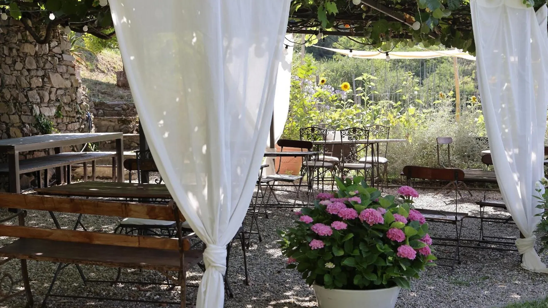 Farm stay Agriturismo Casa Olivieri Sestri Levante